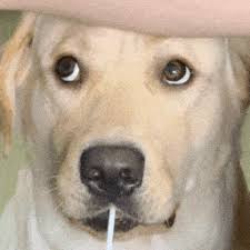 ku体育app体育足球会员登录 #激かわVtuber https://t.co/ZKHVKBO5xS (TTyj_soratomo)2017-07-14 15:22:24フミyan❗チャンネル