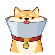 乐鱼体育APP Zhang Yuexiang と Xie Dazhuang は、彼女の言葉を聞いて唖然としました。