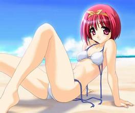 rb88登录入口app下载 本書は、マンガ、アニメ、ゲームというポップカルチャーを、教養のスタンダードとして位置付ける試みだ